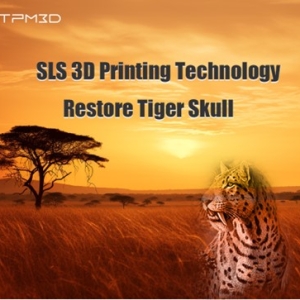 SLS 3D Printing Technology Restore Tiger Skull