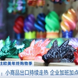 CCTV Finance: Yiwu Launches Another Sensation! 3D Printed Toys Dominate the U.S. and European Markets This Year