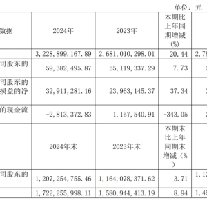 Annual Report 2024 of GRINM Powder Materials Co., Ltd.: Revenue Reaches CNY 3.229 Billion, 3D Printing Powder Sales Surge 202% to 271 Tons